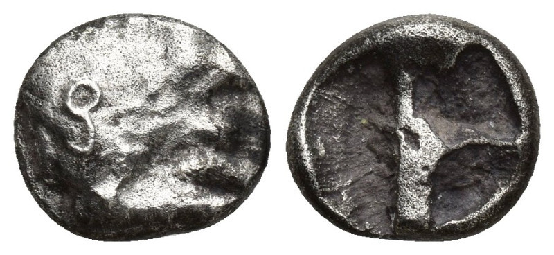 Greek Coins (10mm, 1.6 g)