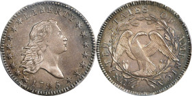 1795 Flowing Hair Half Dollar. O-108a, T-17. Rarity-4. Two Leaves. AU-58 (PCGS).
Soft silver-mauve patina with well blended olive-blue iridescence at...