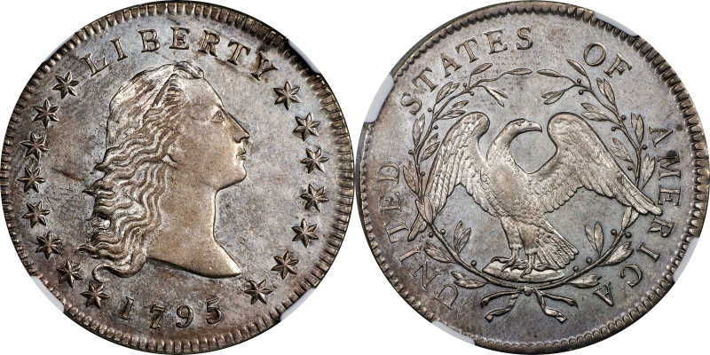 1795 Flowing Hair Silver Dollar. BB-21, B-1. Rarity-2. Two Leaves. MS-62 (NGC)....