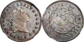 1795 Flowing Hair Silver Dollar. BB-21, B-1. Rarity-2. Two Leaves. MS-62 (NGC).
Offered is a truly remarkable example of both the type and variety th...
