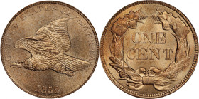 1858 Flying Eagle Cent. Large Letters, High Leaves (Style of 1857), Type I. MS-66 (PCGS).
Glorious light tan surfaces exhibit a smooth satin texture ...
