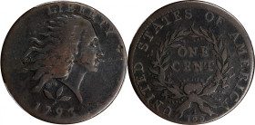1793 Flowing Hair Cent. Wreath Reverse. S-5. Rarity-4. Vine and Bars Edge. VG-8 (PCGS).
Boldly toned surfaces in deep olive-copper. All major design ...