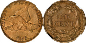 1858 Flying Eagle Cent. Large Letters. Snow-6, VP-005. Doubled Die Obverse, Low Leaves (Style of 1858), Type III. MS-63 (NGC). CAC.
Warm tan-olive pa...