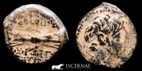Seleukid Antiochos IX Æ Bronze Æ 5.40 g. 18 mm. Syria 114-95 AD gVF