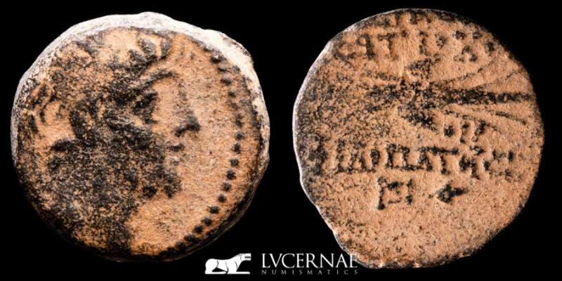 Seleukid Kingdom. Antiochos IX Philopator 114-95 BC.
Bronze Æ (5.12 g. 18 mm.)

...