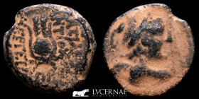 Seleukid Antiochus VII Æ Bronze Æ 4.99 g. 18 mm. Antioch 138 BC. gVF
