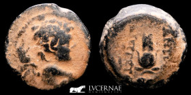 Seleukid Antiochus VII Æ Bronze Unit 5.55 g. 18 mm. Antioch 138 BC. gVF