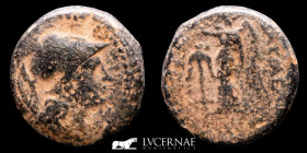 Seleukid Seleukos II Kallinikos Æ Bronze Æ20 8.09 g. 20 mm. Antioch 246-226 BC. VF