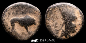 Seleukid Kingdom Seleukos I Nikator Æ Bronze Æ19 8.22 g. 19 mm. Tigris 312-281 BC VF