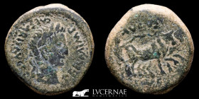 Augustus Bronze As 11.79 g. 25 mm. Emerita Merida 27 B.C-14 A.D. Good very Fine