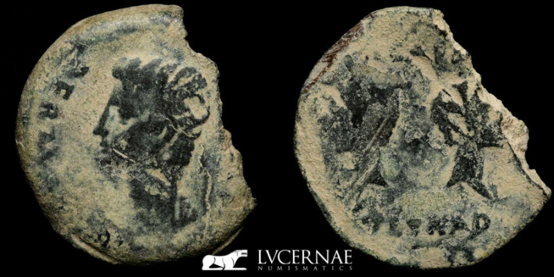 Roman Hispania - Augustus - Julia Traducta (Algeciras, Cadiz), bronze dupondium ...