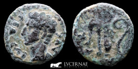 Augustus bronze Quadrans 1.83 g. 15 mm. Colonia Patricia 27 B.C-14 A.D. Good very fine (MBC)