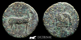 Carthaginians Bronze Calco 9.77 g., 28 mm Cartagonova 237-208 B.C. Good fine.