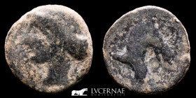 Cartagonova, Hispania Bronze calco 8.11 g, 21 mm military mint 220-215 B.C. Good very fine