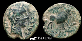 Castulo Bronze Semis 8.81 g., 26 mm. Castulo 180 - 150 B.C. Good very fine (MBC+)