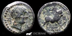 Castulo Bronze Semis 10,46 g, 23 mm Castulo 100-50 B.C. Near extremely fine
