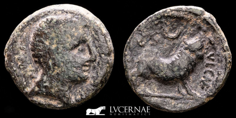 Ancient Hispania - Castulo (Linares, Jaén), bronze semis (6,51 g, 23 mm.), minte...