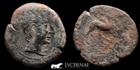 Hispain Castulo Bronze As 12.44 g. 29 mm. (Linares, Jaén) 180 - 150 B.C. Good very fine (MBC)