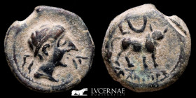 Castulo Bronze Semis 6.10 g, 20 mm. Linares Jaén 180-150 B.C. nEF