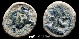 Iliberri Bronze As 17.76 g, 29 mm. Granada 150-20 a.C. gF