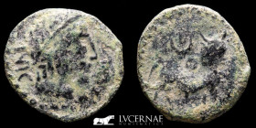 Obulco bronze Semis 3.33 g. 19 mm Hispania 1st. century BC. good very fine