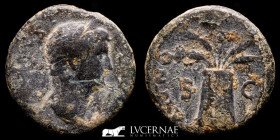 Hadrian Bronze As 10,91 g., 25 mm. Rome 117-138 A.D. gVF