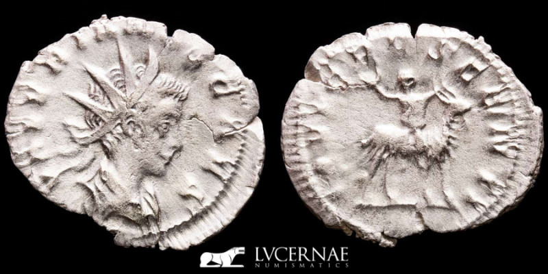 Roman Empire - Valerianus II caesar. 
Silver antoninianus, (3,00 g 24 mm) Coloni...