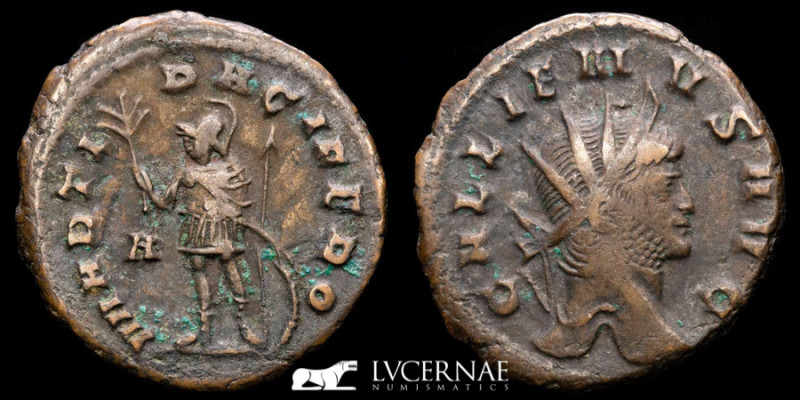 Roman Empire, Gallienus in the sole reign (260-268 a.D.) Bronze antoninianus (4....