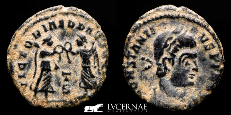 Roman Empire - Constantius II, Nummus (1,40 g. 16 mm).

CONSTANTI-VS PF AVG, ros...