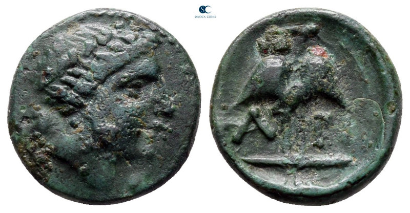 Thrace. Apollonia Pontica circa 405-330 BC. 
Bronze Æ

13 mm, 1,64 g



v...