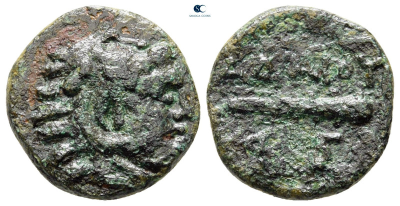 Kings of Thrace. Seleukid. Adaios 253-243 BC. 
Bronze Æ

16 mm, 2,56 g


...