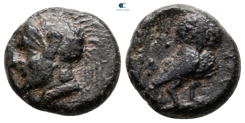 Akarnania. Thyrrheion circa 300-250 BC. 
Chalkous Æ

14 mm, 2,69 g



nea...