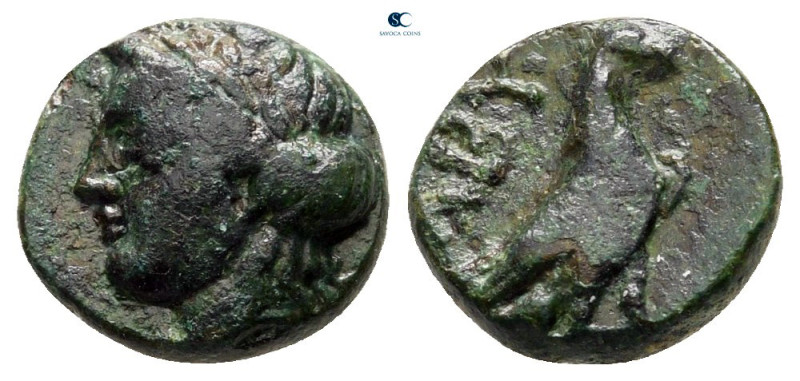 Troas. Abydos circa 320-200 BC. 
Bronze Æ

10 mm, 1,19 g



very fine