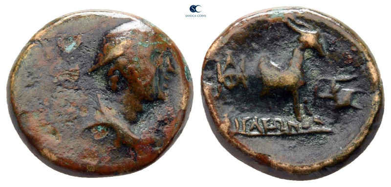 Aiolis. Aigai circa 200-0 BC. 
Bronze Æ

14 mm, 2,03 g



nearly very fin...