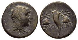 PAPHLAGONIA. Sinope.Struck under Mithradates VI (Circa 120-111 or 110-100 BC).Ae.

Obv : Draped and winged bust of Perseus right.

Rev : ΣΙΝΩ - ΠΗΣ.
C...