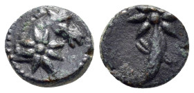 PONTUS. Uncertain.possibly Amisos.Struck under Mithradates VI (Circa 119-100 BC).Ae.

Obv : Eight-pointed star; above, head of horse right.

Rev : Sev...