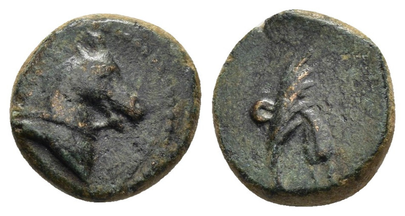PONTUS. Uncertain.(2nd-1st century BC).Ae.

Obv : Head of horse right.

Rev : Fi...