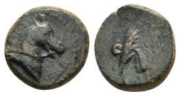 PONTUS. Uncertain.(2nd-1st century BC).Ae.

Obv : Head of horse right.

Rev : Filleted palm frond.
HGC 7, 317.

Condition : Good very fine. 

Weight :...