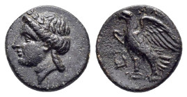 CARIA. Halikarnassos.(Mid 4th-3rd centuries BC).Ae.

Obv : Laureate head of Apollo left.

Rev : ΑΛΙ.
Eagle standing left, with wings spread; lyre to l...
