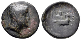 KINGS of CAPPADOCIA. Ariarathes III (230 - 220 BC).Tyana.Ae.

Obv : Head of Ariarathes III with bashlyk right.

Rev : Ariarathes on horseback right, h...
