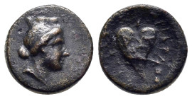KINGS of CAPPADOCIA. Ariarathes III (230 - 220 BC). Ae. Tyana. /////

Obv: Head of Tyche right, wearing mural crown.

Rev: ΒΑΣΙΛΕΩΣ ΑΡΙΑΡΑΘΟΥ.
Ivy lea...