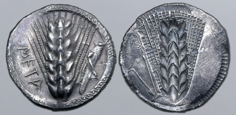 Lucania, Metapontion AR Stater. Circa 540-510 BC. Ear of barley with seven grain...