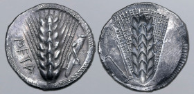 Lucania, Metapontion AR Stater. Circa 540-510 BC. Ear of barley with seven grains on each side; META downwards to left, grasshopper to right; raised a...