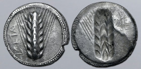 Lucania, Metapontion AR Stater. Circa 540-510 BC. Ear of barley with seven grains on each side; META upwards to left / Incuse ear of barley with seven...