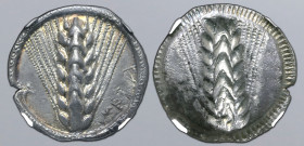 Lucania, Metapontion AR Stater. Circa 510-470 BC. Ear of barley with seven grains on each side; META upwards to right / Incuse ear of barley with seve...