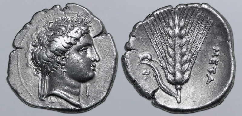 Lucania, Metapontion AR Stater. Circa 340-330 BC. Phi-, magistrate. Wreathed hea...