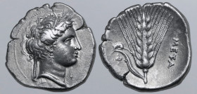 Lucania, Metapontion AR Stater. Circa 340-330 BC. Phi-, magistrate. Wreathed head of Demeter to right, wearing triple pendant earring and necklace and...