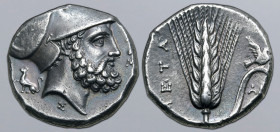 Lucania, Metapontion AR Stater. Circa 340-330 BC. S- and Ami-, magistrates. Head of Leukippos to right, wearing Corinthian helmet; [ΛEYKIΠΠO]Σ above, ...