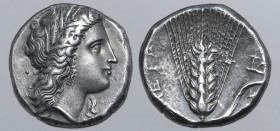 Lucania, Metapontion AR Stater. Circa 330-290 BC. Dai-, and Mach-, magistrates. Wreathed head of Demeter to right, wearing triple pendant earring and ...