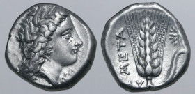 Lucania, Metapontion AR Stater. Circa 330-290 BC. Ly-, magistrate. Wreathed head of Demeter to right, wearing triple pendant earring and necklace; [EY...